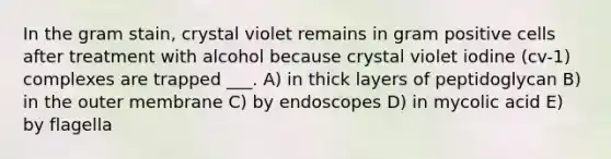 In the gram stain, crystal violet remains in gram positive cells after treatment with alcohol because crystal violet iodine (cv-1) complexes are trapped ___. A) in thick layers of peptidoglycan B) in the outer membrane C) by endoscopes D) in mycolic acid E) by flagella