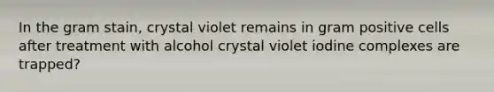 In the gram stain, crystal violet remains in gram positive cells after treatment with alcohol crystal violet iodine complexes are trapped?