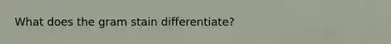 What does the gram stain differentiate?