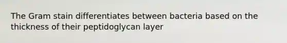 The Gram stain differentiates between bacteria based on the thickness of their peptidoglycan layer