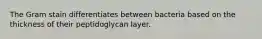 The Gram stain differentiates between bacteria based on the thickness of their peptidoglycan layer.