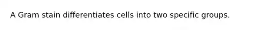 A Gram stain differentiates cells into two specific groups.