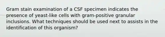 Gram stain examination of a CSF specimen indicates the presence of yeast-like cells with gram-positive granular inclusions. What techniques should be used next to assists in the identification of this organism?