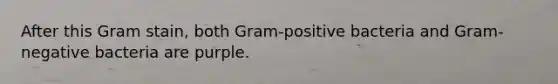 After this Gram stain, both Gram-positive bacteria and Gram-negative bacteria are purple.