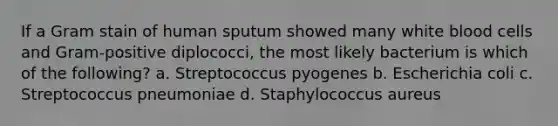 If a Gram stain of human sputum showed many white blood cells and Gram-positive diplococci, the most likely bacterium is which of the following? a. Streptococcus pyogenes b. Escherichia coli c. Streptococcus pneumoniae d. Staphylococcus aureus