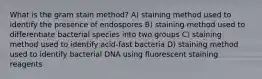 What is the gram stain method? A) staining method used to identify the presence of endospores B) staining method used to differentiate bacterial species into two groups C) staining method used to identify acid-fast bacteria D) staining method used to identify bacterial DNA using fluorescent staining reagents