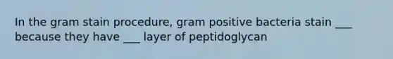 In the gram stain procedure, gram positive bacteria stain ___ because they have ___ layer of peptidoglycan