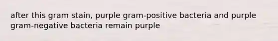 after this gram stain, purple gram-positive bacteria and purple gram-negative bacteria remain purple