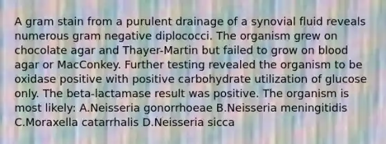 A gram stain from a purulent drainage of a synovial fluid reveals numerous gram negative diplococci. The organism grew on chocolate agar and Thayer-Martin but failed to grow on blood agar or MacConkey. Further testing revealed the organism to be oxidase positive with positive carbohydrate utilization of glucose only. The beta-lactamase result was positive. The organism is most likely: A.Neisseria gonorrhoeae B.Neisseria meningitidis C.Moraxella catarrhalis D.Neisseria sicca