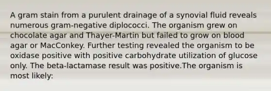 A gram stain from a purulent drainage of a synovial fluid reveals numerous gram-negative diplococci. The organism grew on chocolate agar and Thayer-Martin but failed to grow on blood agar or MacConkey. Further testing revealed the organism to be oxidase positive with positive carbohydrate utilization of glucose only. The beta-lactamase result was positive.The organism is most likely: