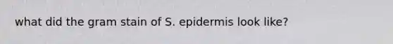 what did the gram stain of S. epidermis look like?