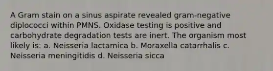 A Gram stain on a sinus aspirate revealed gram-negative diplococci within PMNS. Oxidase testing is positive and carbohydrate degradation tests are inert. The organism most likely is: a. Neisseria lactamica b. Moraxella catarrhalis c. Neisseria meningitidis d. Neisseria sicca