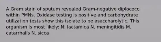 A Gram stain of sputum revealed Gram-negative diplococci within PMNs. Oxidase testing is positive and carbohydrate utilization tests show this isolate to be asaccharolytic. This organism is most likely: N. lactamica N. meningitidis M. catarrhalis N. sicca