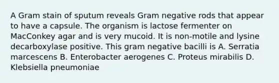 A Gram stain of sputum reveals Gram negative rods that appear to have a capsule. The organism is lactose fermenter on MacConkey agar and is very mucoid. It is non-motile and lysine decarboxylase positive. This gram negative bacilli is A. Serratia marcescens B. Enterobacter aerogenes C. Proteus mirabilis D. Klebsiella pneumoniae