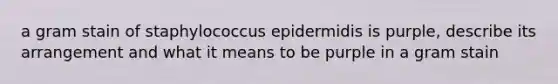 a gram stain of staphylococcus epidermidis is purple, describe its arrangement and what it means to be purple in a gram stain