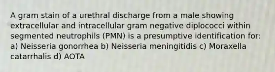 A gram stain of a urethral discharge from a male showing extracellular and intracellular gram negative diplococci within segmented neutrophils (PMN) is a presumptive identification for: a) Neisseria gonorrhea b) Neisseria meningitidis c) Moraxella catarrhalis d) AOTA