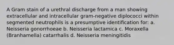 A Gram stain of a urethral discharge from a man showing extracellular and intracellular gram-negative diplococci within segmented neutrophils is a presumptive identiﬁcation for: a. Neisseria gonorrhoeae b. Neisseria lactamica c. Moraxella (Branhamella) catarrhalis d. Neisseria meningitidis