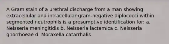 A Gram stain of a urethral discharge from a man showing extracellular and intracellular gram-negative diplococci within segmented neutrophils is a presumptive identification for: a. Neisseria meningitidis b. Neisseria lactamica c. Neisseria gnorrhoeae d. Moraxella catarrhalis