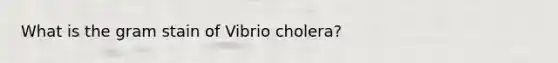 What is the gram stain of Vibrio cholera?