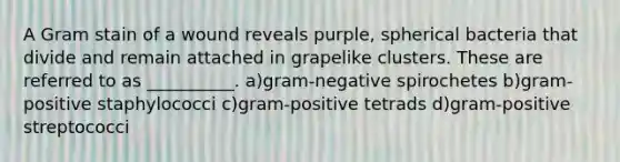 A Gram stain of a wound reveals purple, spherical bacteria that divide and remain attached in grapelike clusters. These are referred to as __________. a)gram-negative spirochetes b)gram-positive staphylococci c)gram-positive tetrads d)gram-positive streptococci