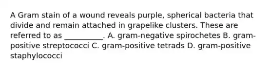 A Gram stain of a wound reveals purple, spherical bacteria that divide and remain attached in grapelike clusters. These are referred to as __________. A. gram-negative spirochetes B. gram-positive streptococci C. gram-positive tetrads D. gram-positive staphylococci