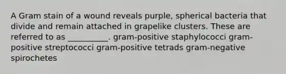 A Gram stain of a wound reveals purple, spherical bacteria that divide and remain attached in grapelike clusters. These are referred to as __________. gram-positive staphylococci gram-positive streptococci gram-positive tetrads gram-negative spirochetes