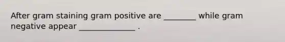 After gram staining gram positive are ________ while gram negative appear ______________ .