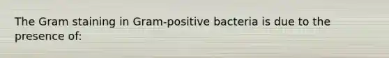 The Gram staining in Gram-positive bacteria is due to the presence of: