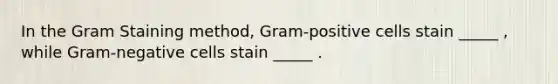 In the Gram Staining method, Gram-positive cells stain _____ , while Gram-negative cells stain _____ .