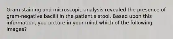 Gram staining and microscopic analysis revealed the presence of gram-negative bacilli in the patient's stool. Based upon this information, you picture in your mind which of the following images?