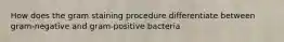 How does the gram staining procedure differentiate between gram-negative and gram-positive bacteria