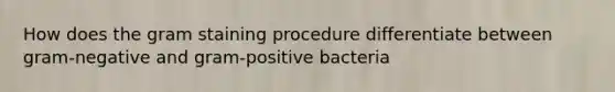 How does the gram staining procedure differentiate between gram-negative and gram-positive bacteria