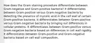 How does the Gram staining procedure differentiate between Gram-negative and Gram-positive bacteria? It differentiates between Gram-positive versus Gram-negative bacteria by detecting the presence of mycolic acid in the cell wall of certain Gram-positive bacteria. It differentiates between Gram-positive versus Gram-negative bacteria by bringing out differences in cellular proteins. It differentiates between Gram-positive versus Gram-negative bacteria based on differences in cell wall rigidity. It differentiates between Gram-positive and Gram-negative bacteria based on cell wall composition.