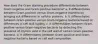 How does the Gram staining procedure differentiate between Gram-negative and Gram-positive bacteria? a. It differentiates between Gram-positive versus Gram-negative bacteria by bringing out differences in cellular proteins. b. It differentiates between Gram-positive versus Gram-negative bacteria based on differences in cell wall rigidity. c. It differentiates between Gram-positive versus Gram-negative bacteria by detecting the presence of mycolic acid in the cell wall of certain Gram-positive bacteria. d. It differentiates between Gram-positive and Gram-negative bacteria based on cell wall composition.