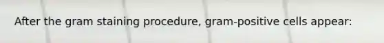 After the gram staining procedure, gram-positive cells appear: