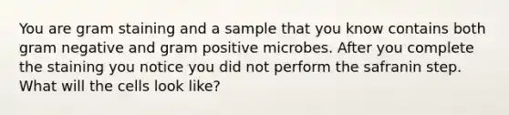 You are gram staining and a sample that you know contains both gram negative and gram positive microbes. After you complete the staining you notice you did not perform the safranin step. What will the cells look like?