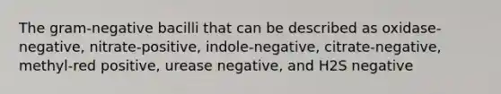 The gram-negative bacilli that can be described as oxidase-negative, nitrate-positive, indole-negative, citrate-negative, methyl-red positive, urease negative, and H2S negative