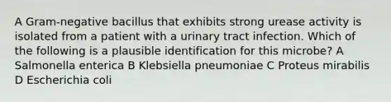 A Gram-negative bacillus that exhibits strong urease activity is isolated from a patient with a urinary tract infection. Which of the following is a plausible identification for this microbe? A Salmonella enterica B Klebsiella pneumoniae C Proteus mirabilis D Escherichia coli