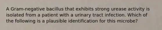 A Gram-negative bacillus that exhibits strong urease activity is isolated from a patient with a urinary tract infection. Which of the following is a plausible identification for this microbe?