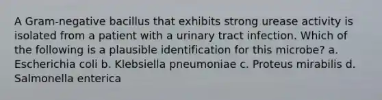 A Gram-negative bacillus that exhibits strong urease activity is isolated from a patient with a urinary tract infection. Which of the following is a plausible identification for this microbe? a. Escherichia coli b. Klebsiella pneumoniae c. Proteus mirabilis d. Salmonella enterica