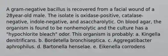 A gram-negative bacillus is recovered from a facial wound of a 28year-old male. The isolate is oxidase-positive, catalase-negative, indole-negative, and asaccharolytic. On blood agar, the organism is found to be nonhemolytic and the culture has a "hypochlorite bleach" odor. This organism is probably: a. Kingella denitrificans. b. Bordetella bronchiseptica. c. Aggregatibacter aphrophilus. d. Bartonella henselae. e. Eikenella corrodens