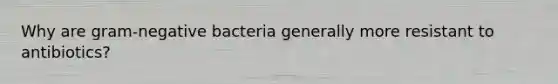 Why are gram-negative bacteria generally more resistant to antibiotics?