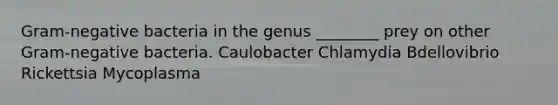 Gram-negative bacteria in the genus ________ prey on other Gram-negative bacteria. Caulobacter Chlamydia Bdellovibrio Rickettsia Mycoplasma