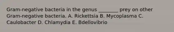 Gram-negative bacteria in the genus ________ prey on other Gram-negative bacteria. A. Rickettsia B. Mycoplasma C. Caulobacter D. Chlamydia E. Bdellovibrio