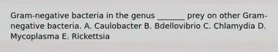 Gram-negative bacteria in the genus _______ prey on other Gram-negative bacteria. A. Caulobacter B. Bdellovibrio C. Chlamydia D. Mycoplasma E. Rickettsia