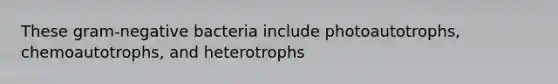 These gram-negative bacteria include photoautotrophs, chemoautotrophs, and heterotrophs