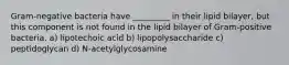 Gram-negative bacteria have _________ in their lipid bilayer, but this component is not found in the lipid bilayer of Gram-positive bacteria. a) lipotechoic acid b) lipopolysaccharide c) peptidoglycan d) N-acetylglycosamine