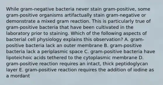 While gram-negative bacteria never stain gram-positive, some gram-positive organisms artifactually stain gram-negative or demonstrate a mixed gram reaction. This is particularly true of gram-positive bacteria that have been cultivated in the laboratory prior to staining. Which of the following aspects of bacterial cell physiology explains this observation? A. gram-positive bacteria lack an outer membrane B. gram-positive bacteria lack a periplasmic space C. gram-positive bacteria have lipoteichoic acids tethered to the cytoplasmic membrane D. gram-positive reaction requires an intact, thick peptidoglycan layer E. gram-positive reaction requires the addition of iodine as a mordant