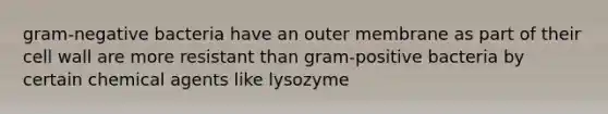 gram-negative bacteria have an outer membrane as part of their cell wall are more resistant than gram-positive bacteria by certain chemical agents like lysozyme