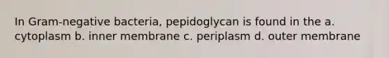 In Gram-negative bacteria, pepidoglycan is found in the a. cytoplasm b. inner membrane c. periplasm d. outer membrane